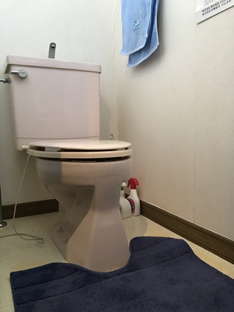 茨城県龍ヶ崎市トイレリフォーム|内装も交換。費用は…