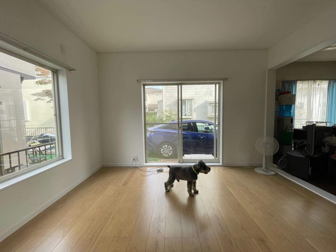 ペット用の床材で滑りにくい洋室に